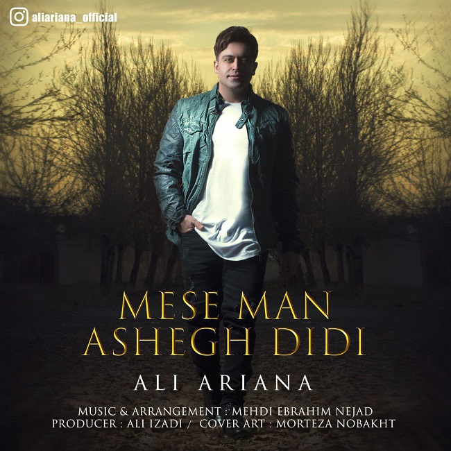 دانلود آهنگ مثه من عاشق دیدی